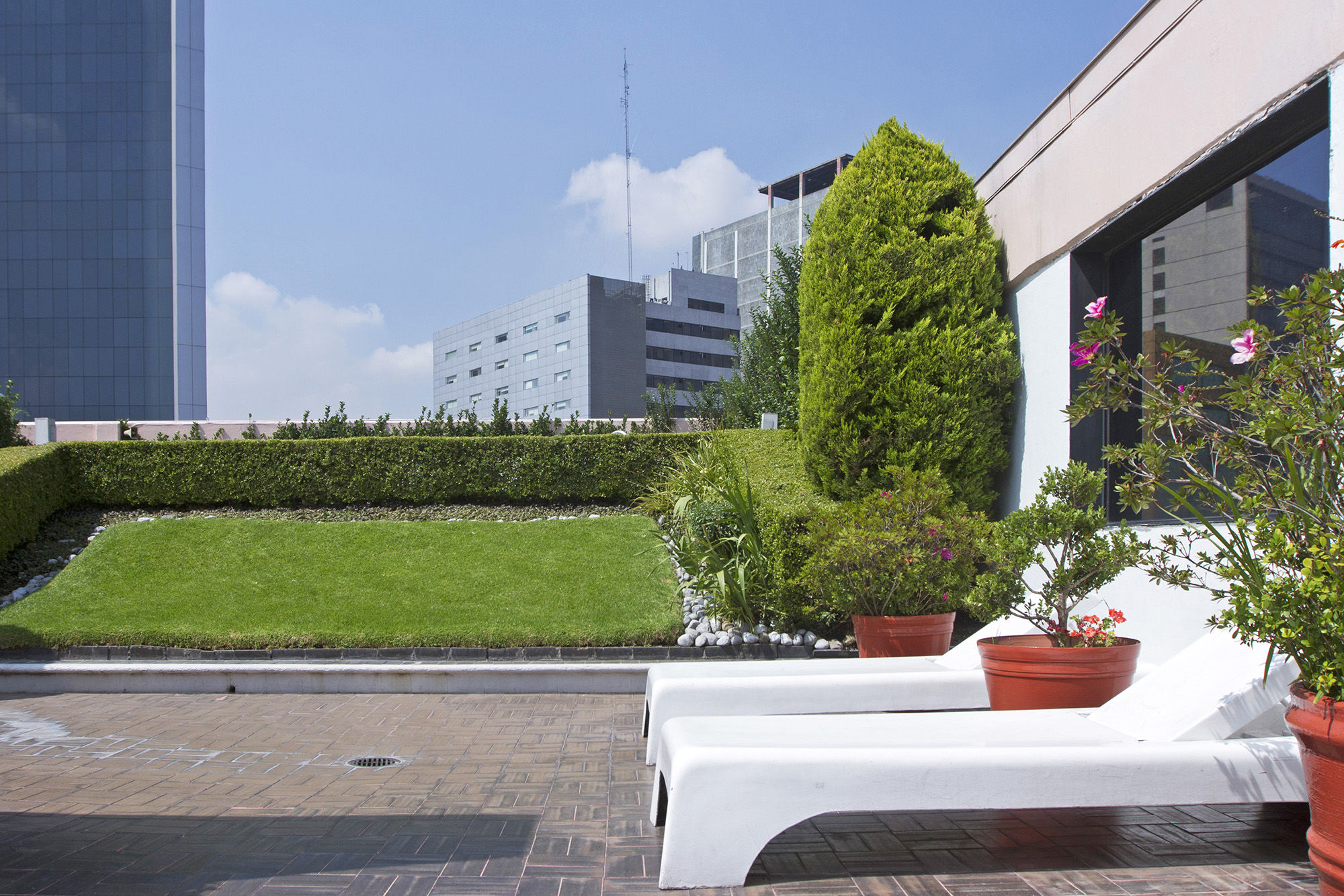 Corinto Hotel Mexico City Exterior photo